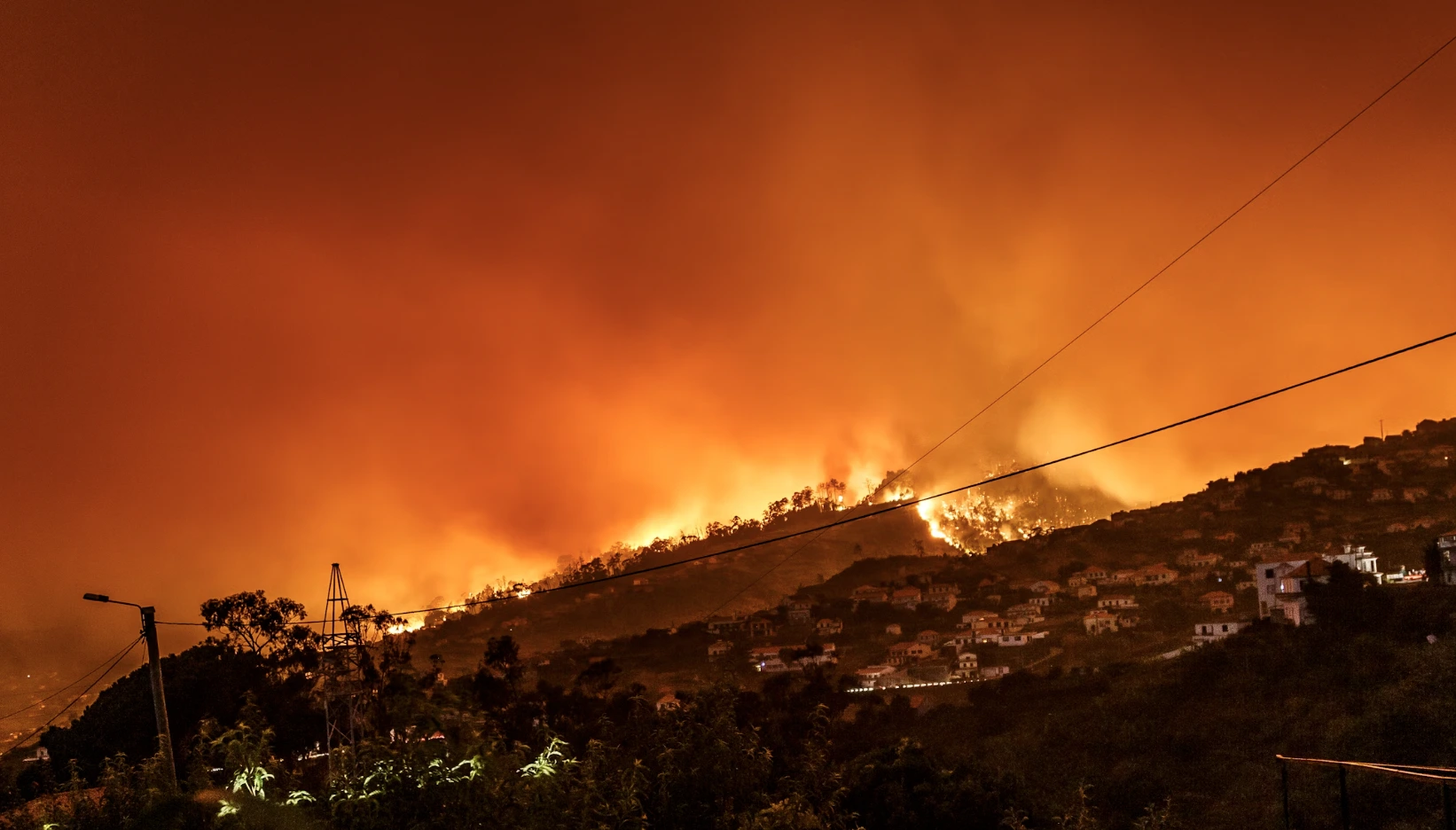 Google wprowadza FireSat: Nowe narzędzie AI do wykrywania pożar&oacute;w las&oacute;w